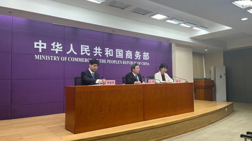 中非經(jīng)貿(mào)深度合作先行區(qū)助力非洲產(chǎn)業(yè)現(xiàn)代化